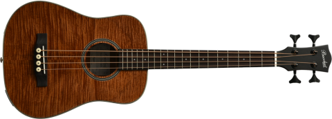 バッカス BAB-600M アコースティック エレキベース 弦楽器 ソフト